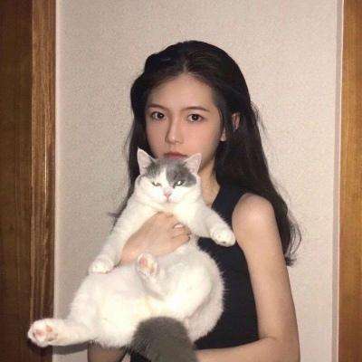 神将无双游戏下载